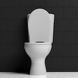 Toilet flushes